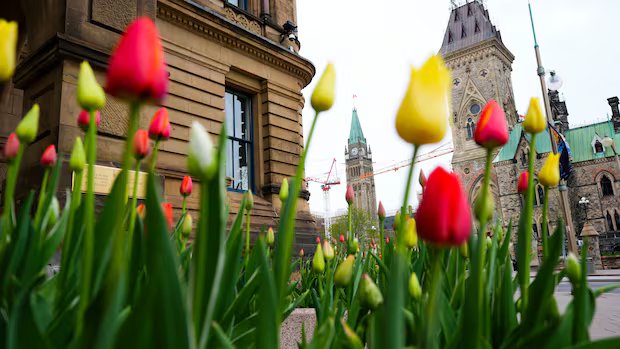 Government looking to give boost to high-wage workers in express entry system Government looking to give boost to high-wage workers in express entry system
