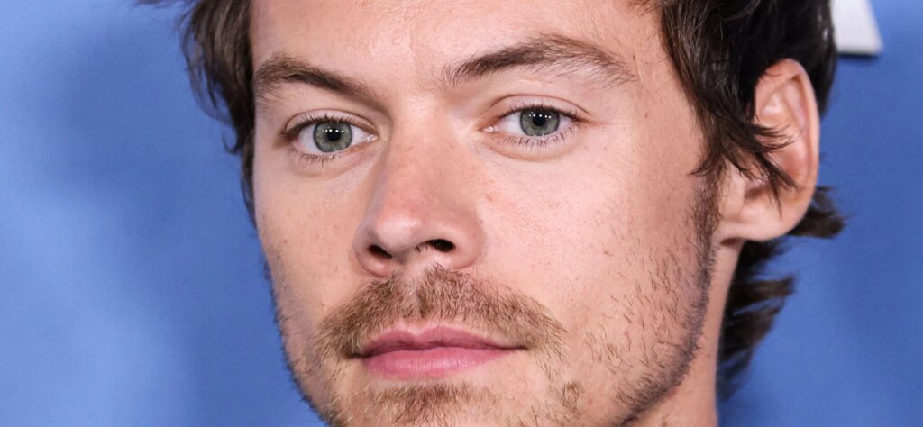 Harry Styles’ Tour Rep Responds To VIP Ticket Backlash