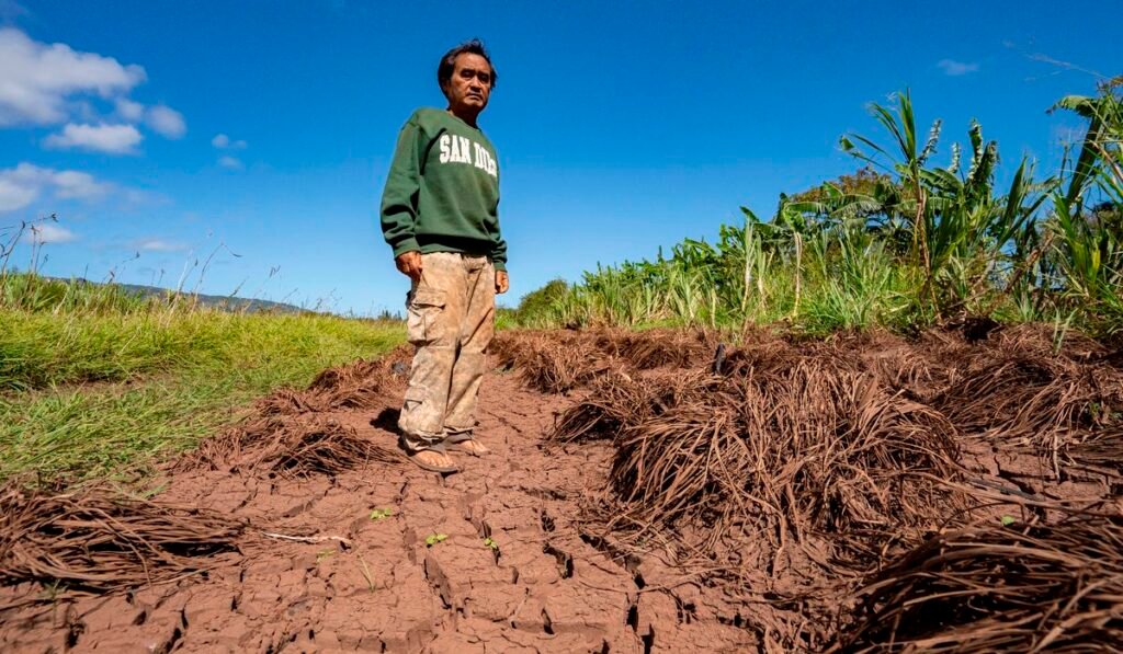 Hawaii’s worst flooding in 20 years leaves farmers struggling and fewer veggies at the market