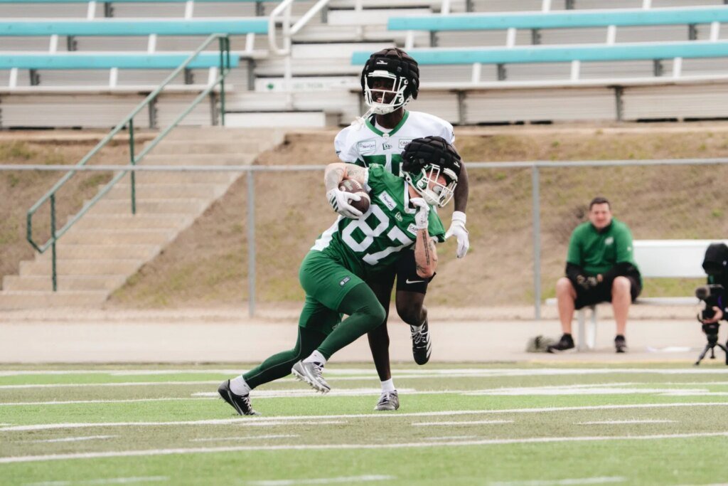 'He's a beast': Daniel Wiebe draws praise from Saskatchewan Roughriders' QB Trevor Harris