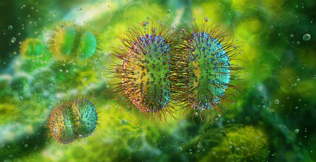 How Bayesian Health’s Sepsis AI Tool Is Decreasing Alerts & Saving Lives How Bayesian Health’s Sepsis AI Tool Is Decreasing Alerts & Saving Lives