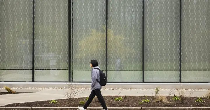 How Ontario colleges are struggling to attract international students after visa changes How Ontario colleges are struggling to attract international students after visa changes