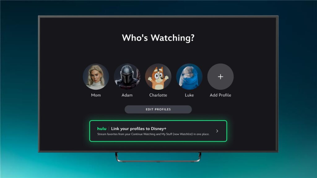 Hulu Bundle Subscribers Can Now Access Their Watch History And Recs In The Disney+ App Hulu Bundle Subscribers Can Now Access Their Watch History And Recs In The Disney+ App