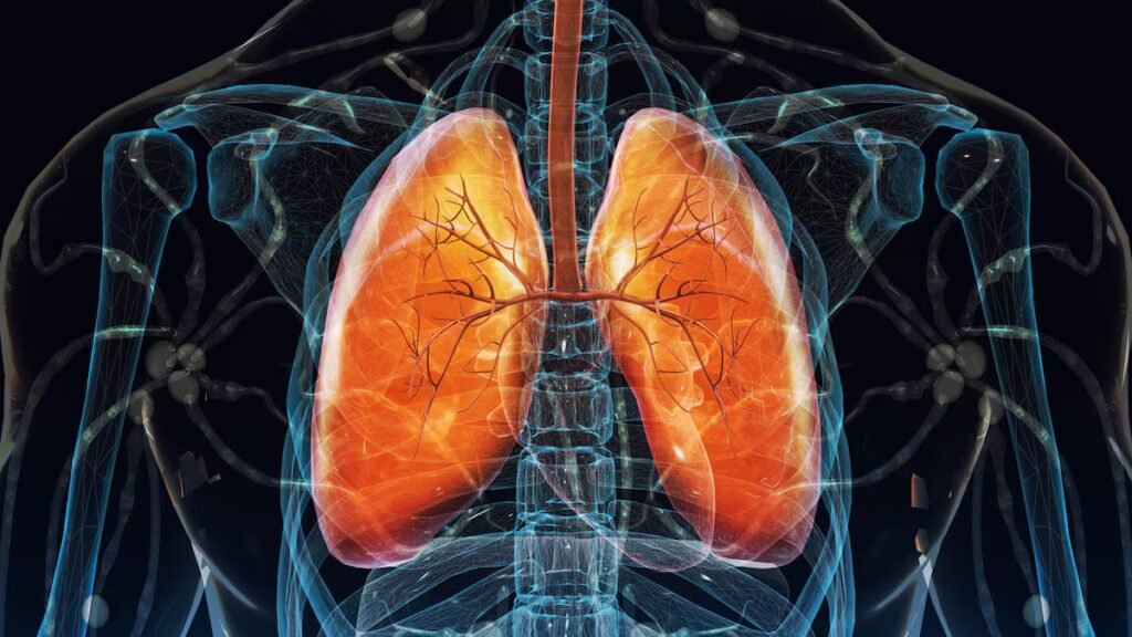 Immunotherapy rejuvenates the lungs and shows a new way to eliminate aged cells | Science