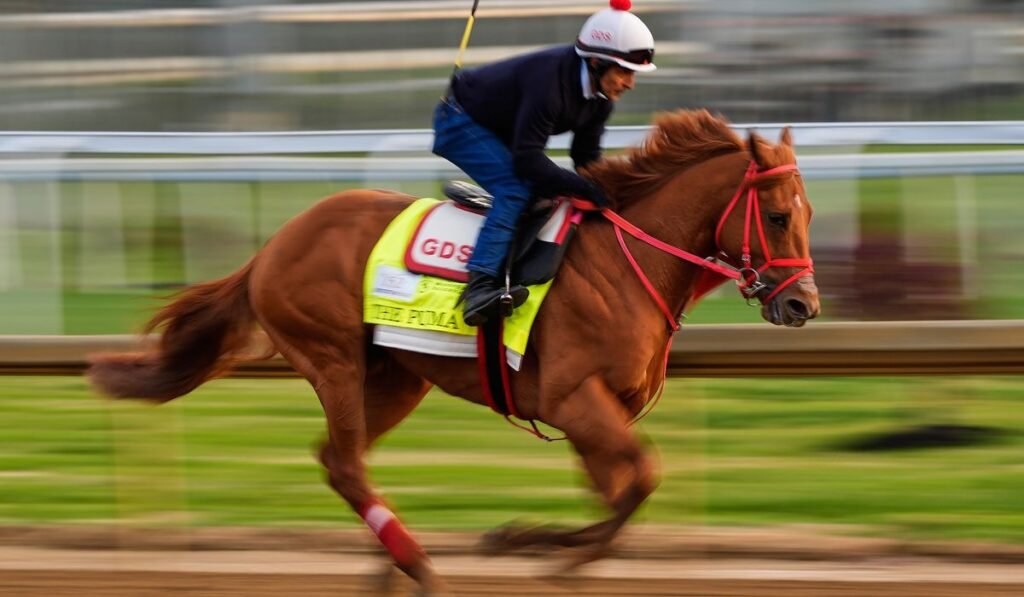 Kentucky Derby is down to 19 horses