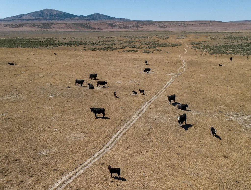 Kevin O’Leary believes his 10,000-acre data center can be ‘beautiful’ Kevin O’Leary believes his 10,000-acre data center can be ‘beautiful’