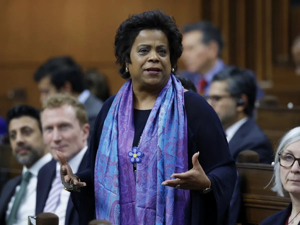 Liberals block motion make health minister testify on failed e-prescribing program