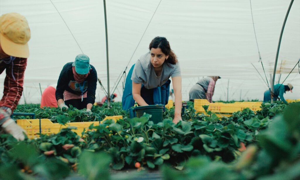 Lucky Number plans to sell numerous titles at Cannes