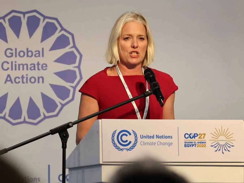 McKenna says Liberals who talk about climate should speak up
