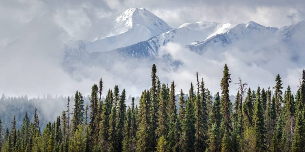 National security means halting and reversing nature loss National security means halting and reversing nature loss