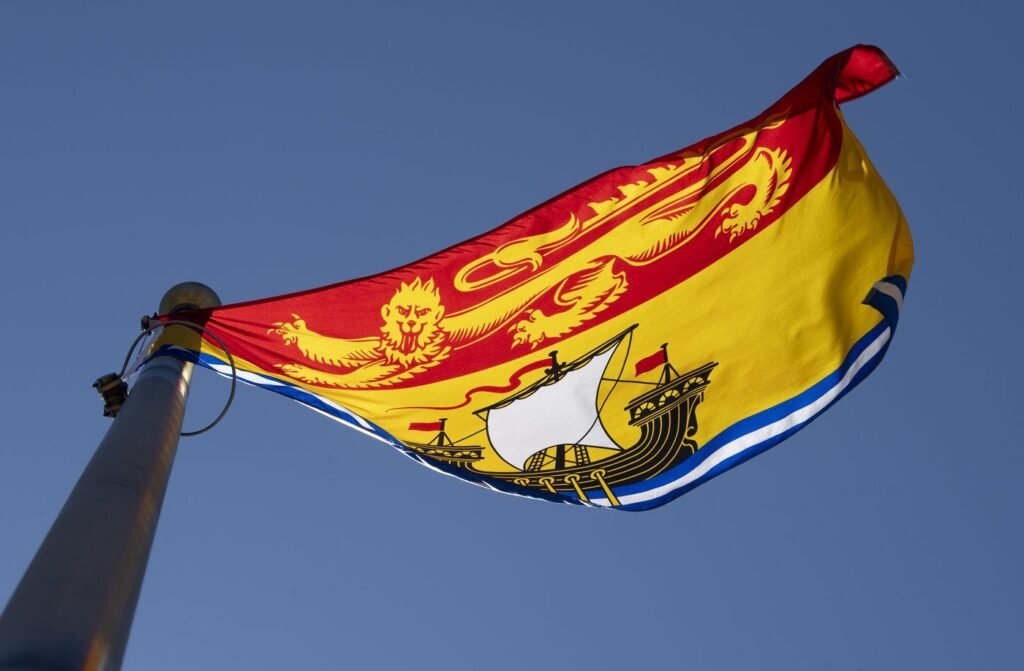 New Brunswick voters wake to new mayors, councillors after municipal elections