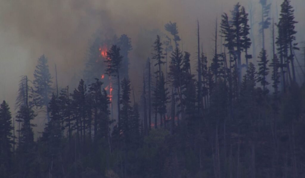 New Mexico wildfire sparked by fatal medical plane crash spreads quickly in rural area New Mexico wildfire sparked by fatal medical plane crash spreads quickly in rural area
