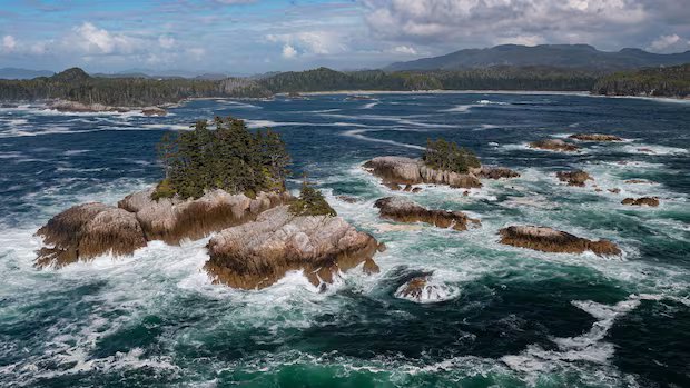 New protected marine reserve, larger than P.E.I., to be established on B.C.’s Central Coast New protected marine reserve, larger than P.E.I., to be established on B.C.'s Central Coast