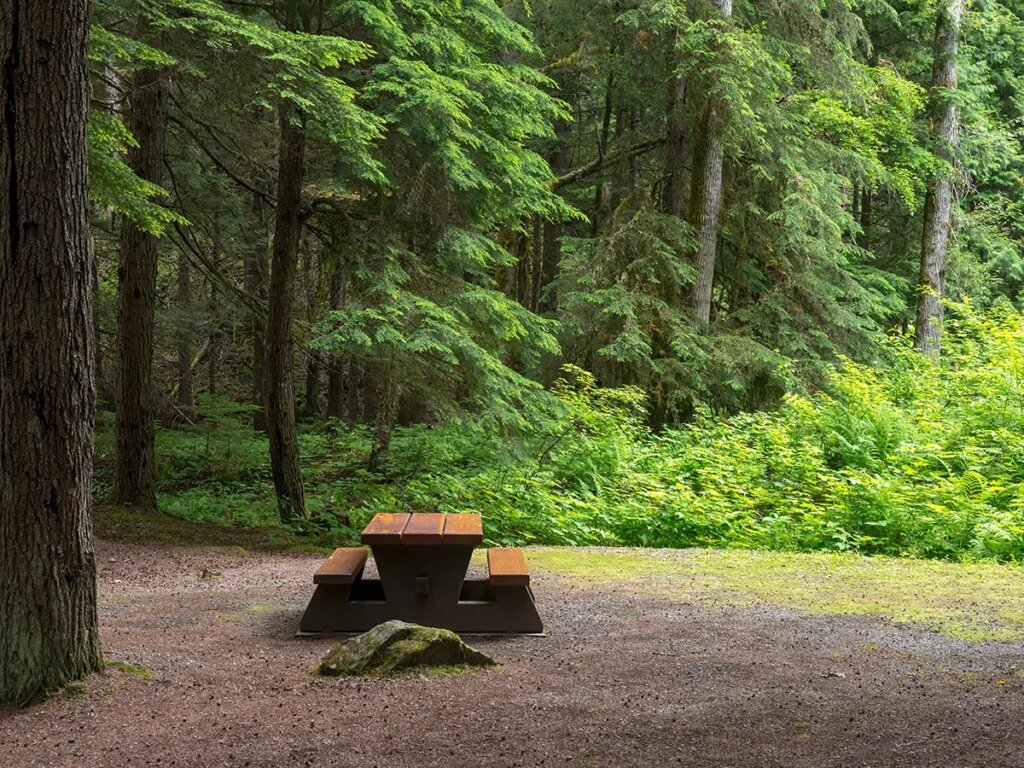 Ontario judge prohibits girl, 11, from attending nudist camps