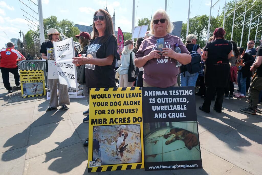 Over 1,000 beagles rescued from US research facility | U.S.