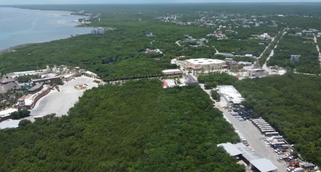 Perfect Day, the Royal Caribbean water park that threatens to devour Mexico’s Mahahual ecosystem | International