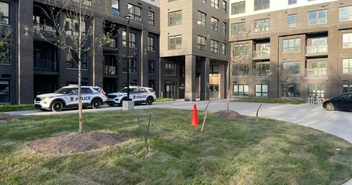 Police urgently searching for missing newborn baby in Halifax – Halifax Police urgently searching for missing newborn baby in Halifax - Halifax