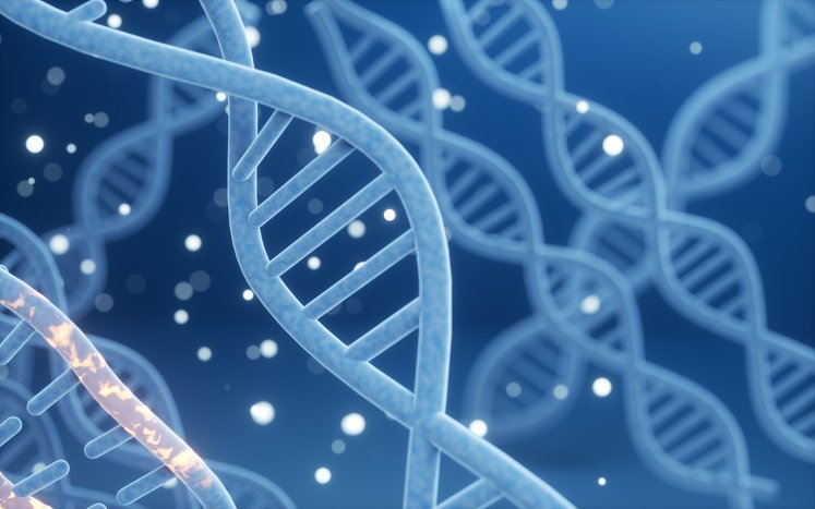 Precision Medicine’s Next Hurdle Isn’t Science — It’s Execution Precision Medicine’s Next Hurdle Isn’t Science — It’s Execution