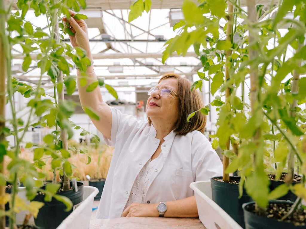 Raquel Chan, the renowned Argentine scientist who created drought-tolerant seeds: ‘GMOs have become a dirty word’ | Science