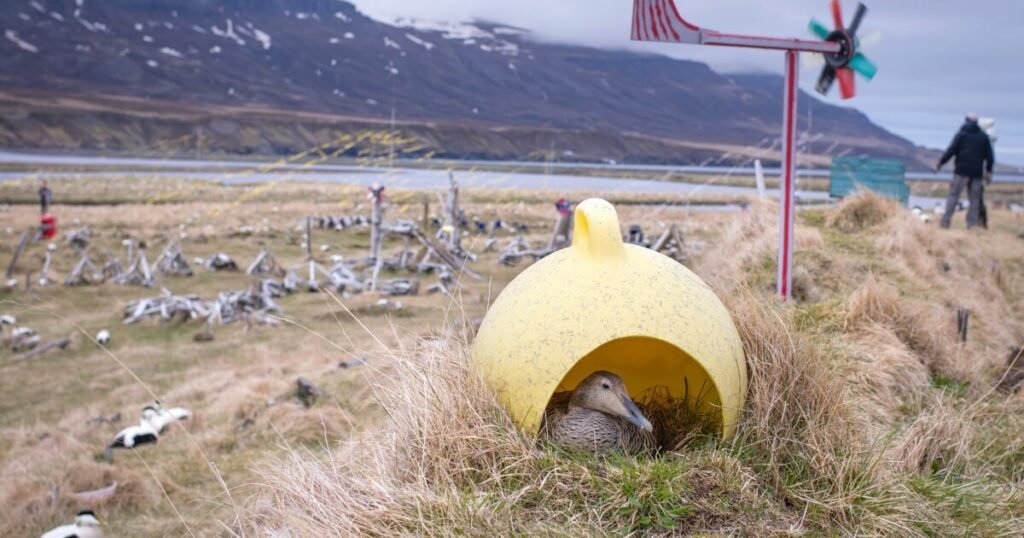 Review: Amongst the Birds - Cineuropa