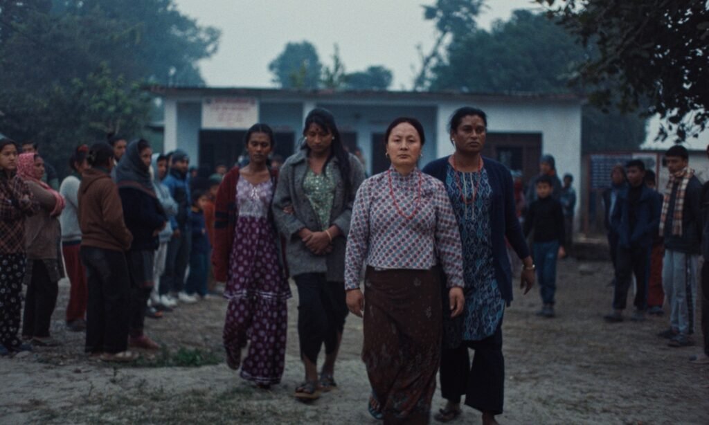 Review: Elephants in the Fog