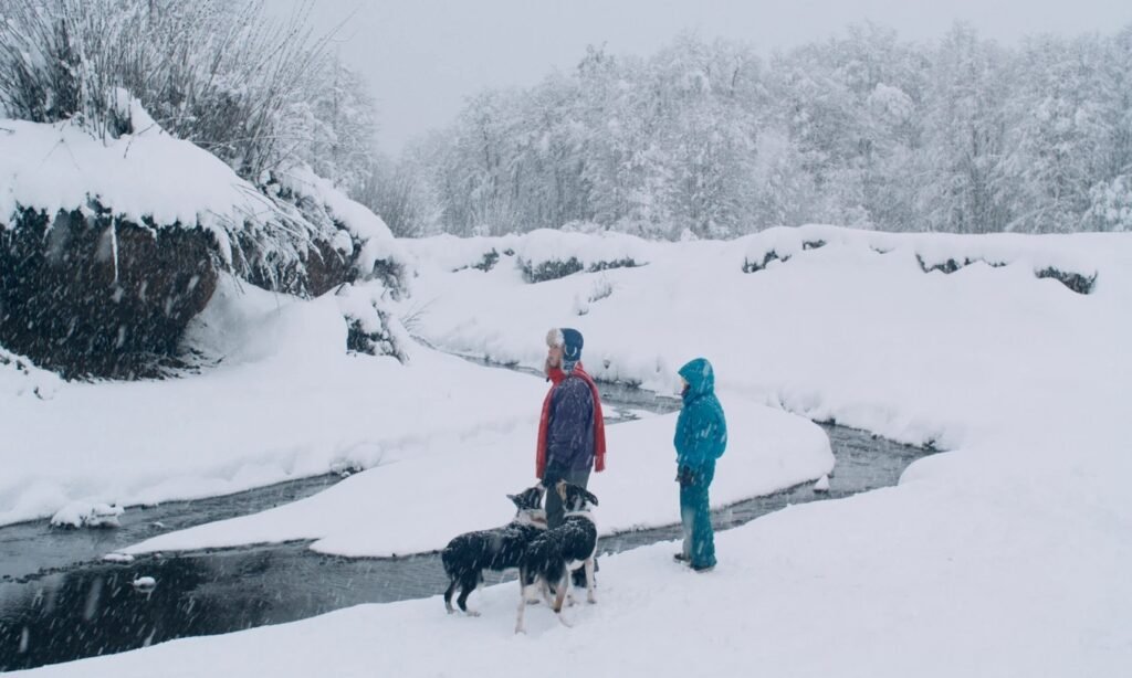 Review: The Meltdown - Cineuropa