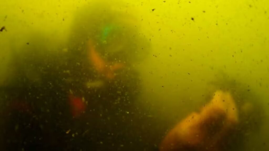 Spain’s unique Mar Menor, 10 years after infamous pollution episode: From the ‘green soup’ to ‘a tiny Mediterranean’ | Climate