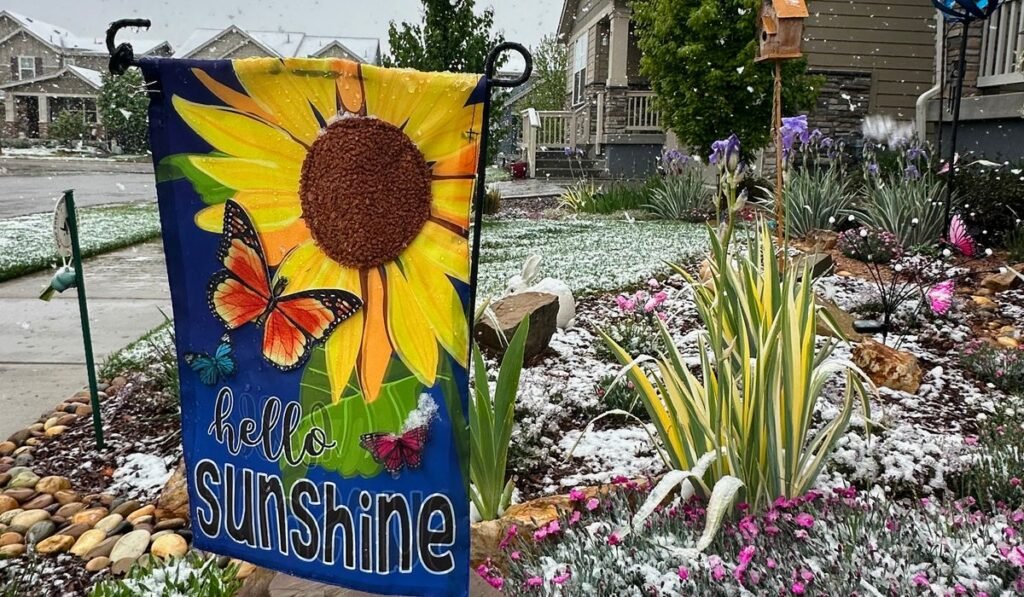 Spring plans meet snow in Denver as a late storm could be the season’s biggest