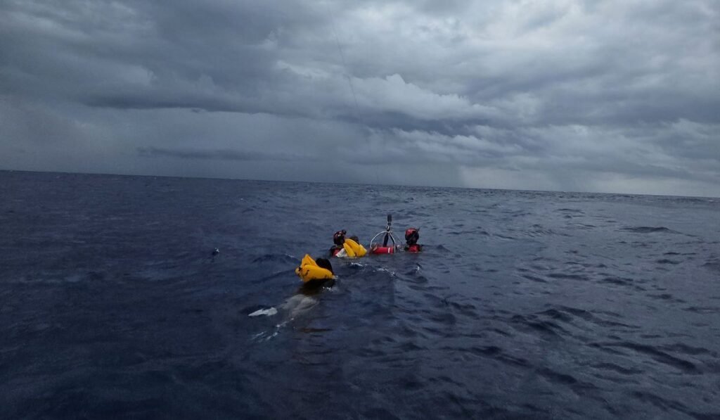 Survivors of plane crash off Florida were on a life raft for hours with no idea if help was coming Survivors of plane crash off Florida were on a life raft for hours with no idea if help was coming