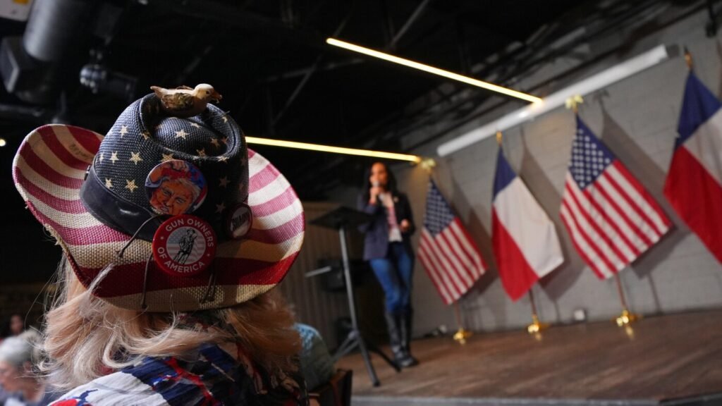 Texas GOP voters vote in race that could shape party future : NPR