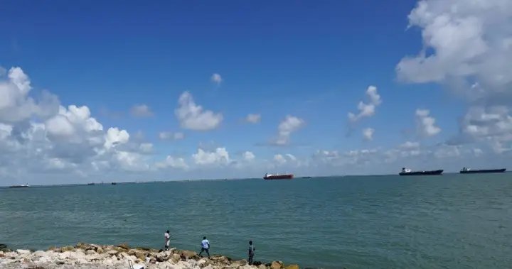 Texas teen bit, hospitalized after reportedly trying to bring shark on boat – National Texas teen bit, hospitalized after reportedly trying to bring shark on boat - National