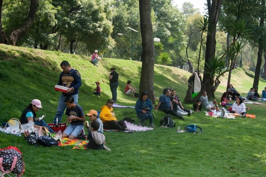The best picnic spots to enjoy in Mexico City this summer The best picnic spots to enjoy in Mexico City this summer