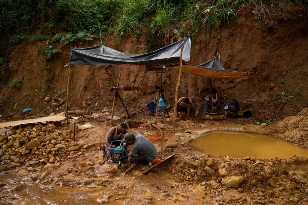 Venezuela identifies new mosquito capable of transmitting malaria in mining region | Health