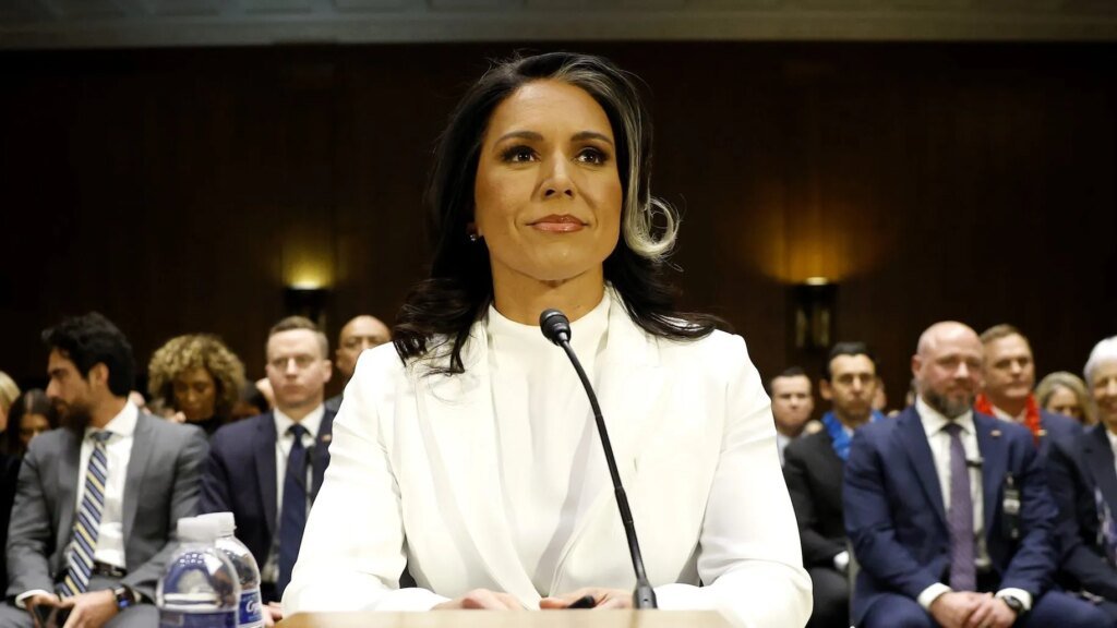 Who Is Tulsi Gabbard? 5 Things to Know About the Former DNI – Hollywood Life