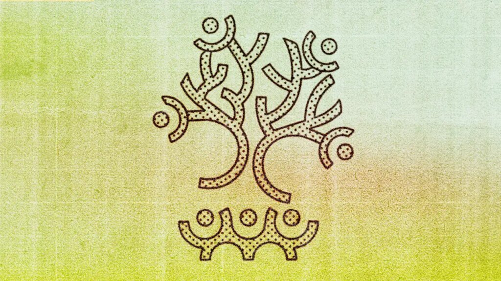 Why change doesn’t really come from the top