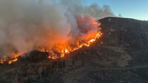 Wildfire in Alberta’s west country rages on, campers evacuated from backcountry Wildfire in Alberta's west country rages on, campers evacuated from backcountry