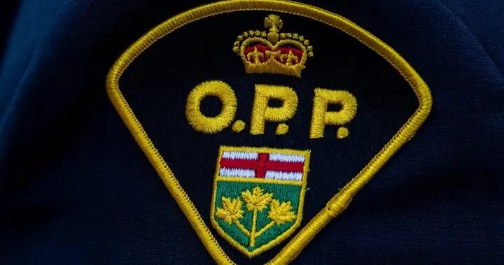 Ontario collision leaves 5 children dead: OPP Ontario collision leaves 5 children dead: OPP