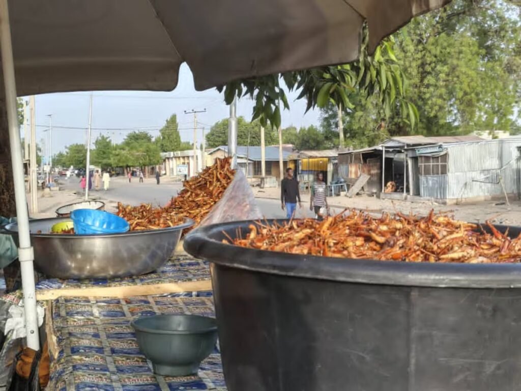 Africa’s lucrative, nutritious grasshopper business runs into Western prejudice against eating insects | Health
