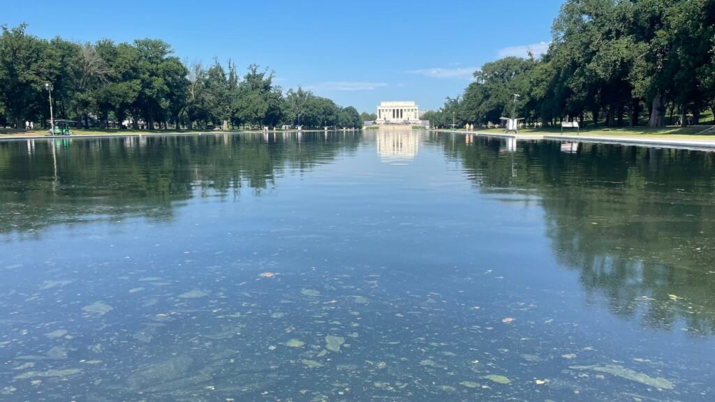 Algae resurfaces in reflecting pool after multimillion-dollar fixes