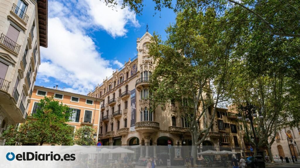 Así funciona la regla 3-30-300, el estándar holandés que relaciona nuestro bienestar con la cantidad de árboles cerca de casa