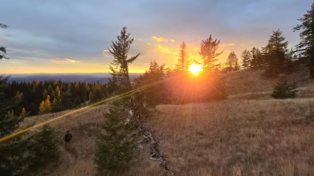 B.C. court to allow Rossland magnesium mine to proceed without environmental assessment B.C. court to allow Rossland magnesium mine to proceed without environmental assessment