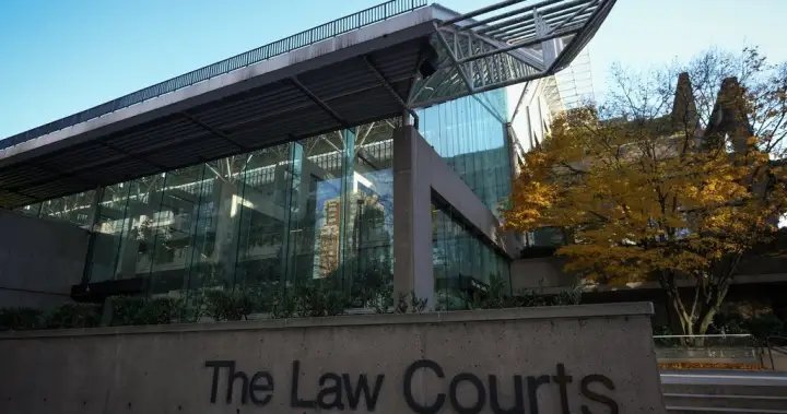 B.C. mother fighting to get son back after Voluntary Care Agreement – BC B.C. mother fighting to get son back after Voluntary Care Agreement - BC