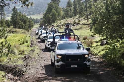 Baja 95% la tala ilegal en corredor forestal del Ajusco Baja 95% la tala ilegal en corredor forestal del Ajusco