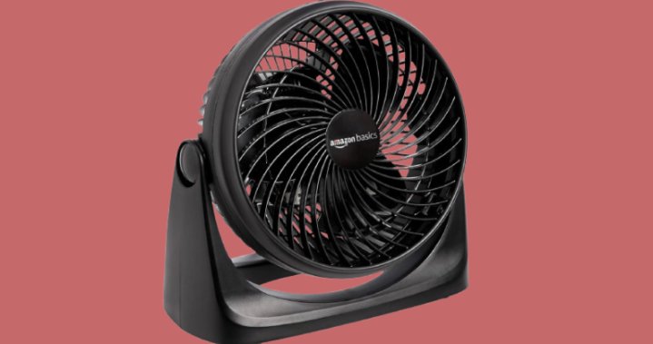 Best cooling fans of 2026: Top picks for a cool, comfortable home – National Best cooling fans of 2026: Top picks for a cool, comfortable home - National