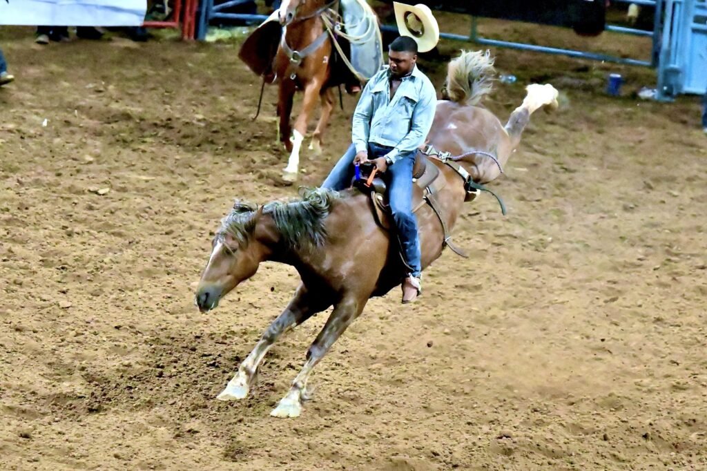 Black Rodeo regresa para el fin de semana del 16 de junio – Celebrity Land