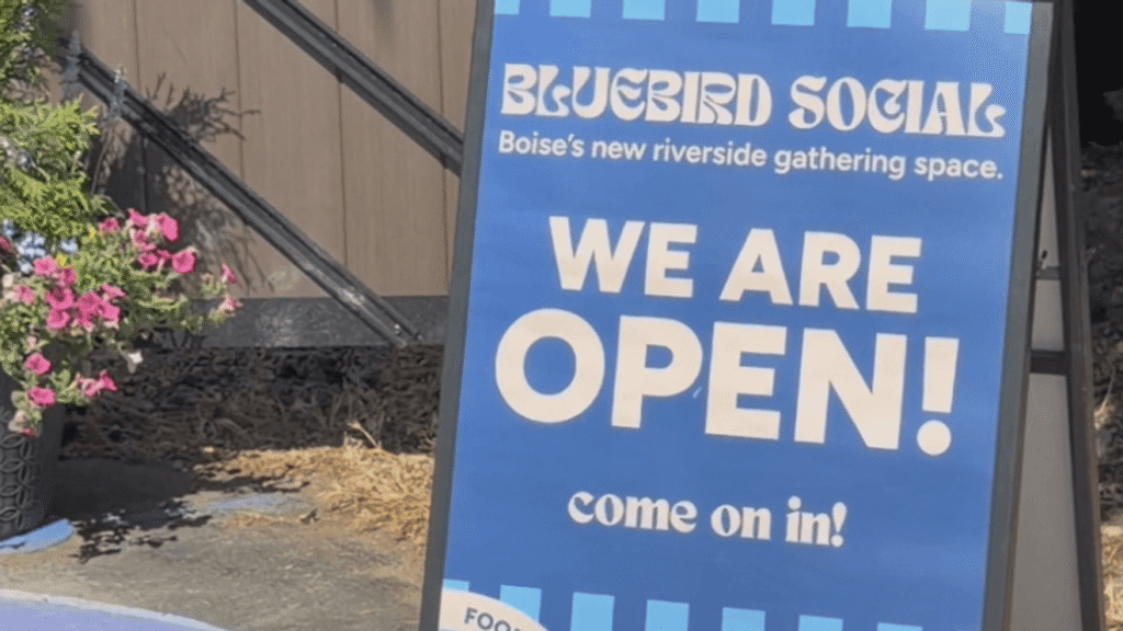 Bluebird social – Celebrity Land