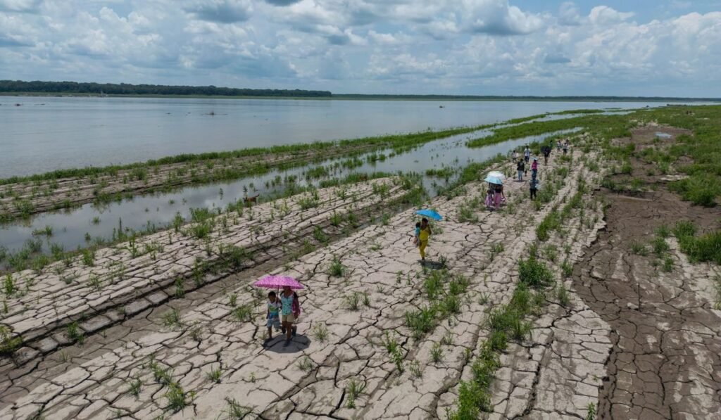 Colombia’s presidential runoff could impact the future of the Amazon rainforest and fossil fuels Colombia’s presidential runoff could impact the future of the Amazon rainforest and fossil fuels