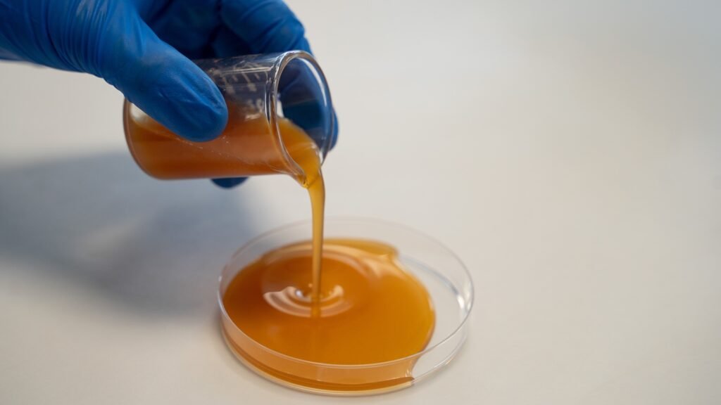 Crean nuevos ingredientes innovadores a partir de residuos de aguacate, tomate y uva Crean nuevos ingredientes innovadores a partir de residuos de aguacate, tomate y uva