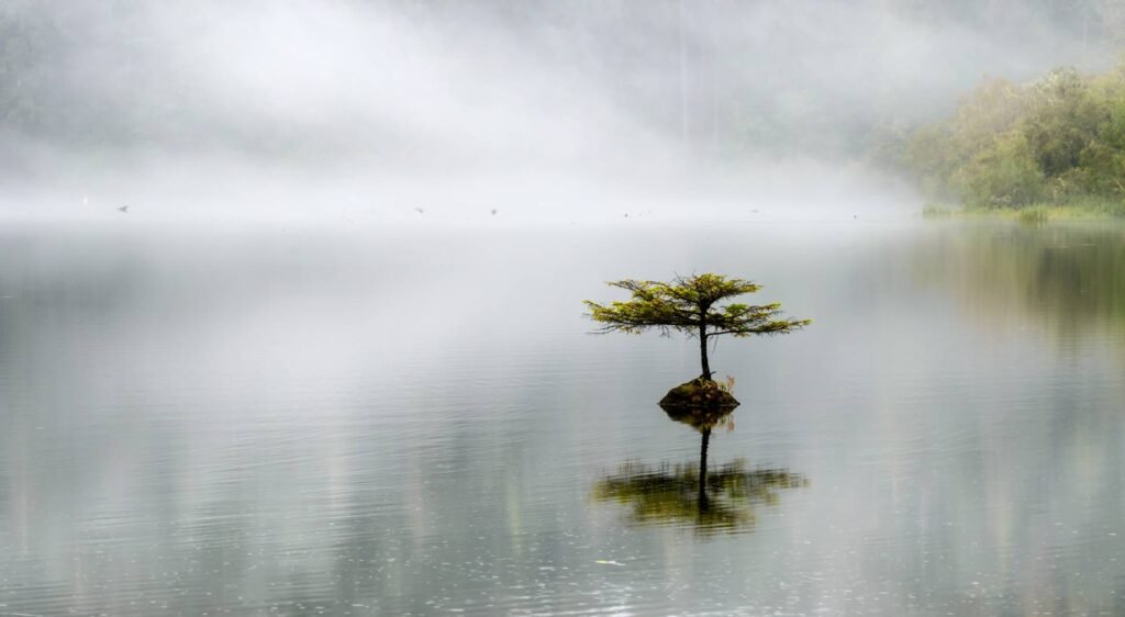 Creation stories can unify us