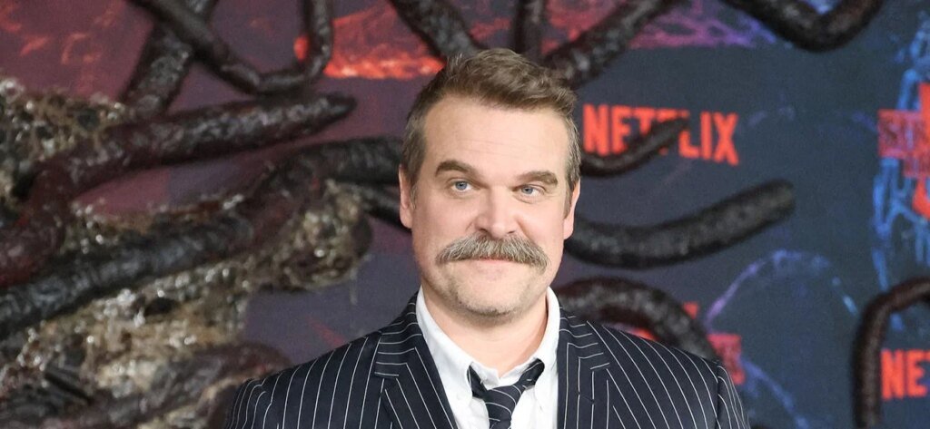 David Harbour Breaks Silence on Lily Allen's Album